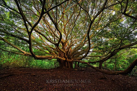 Photography by Kristian Bogner Copyright 2013. All Rights Reserv